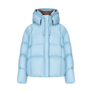 Home regisens metrolite hooded down jacket