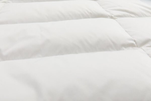 regisens elegance belted long down coat